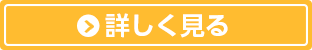 詳細を見る
